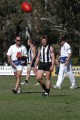 Euroa Trainer Brodie